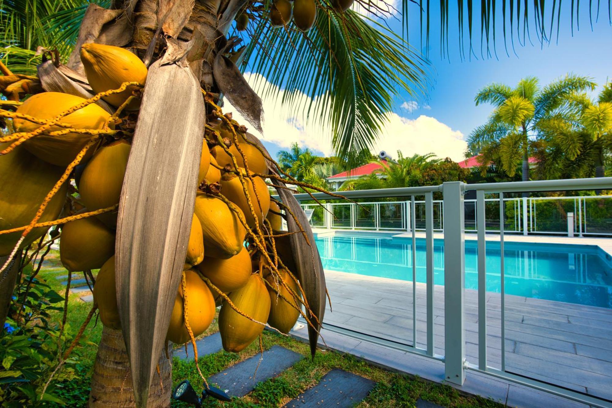 Hotel & Villa Le Cocotel แซงต์-ฟรองซัวส์ ภายนอก รูปภาพ